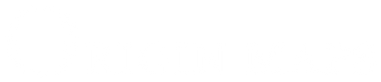 Origin Maps logo