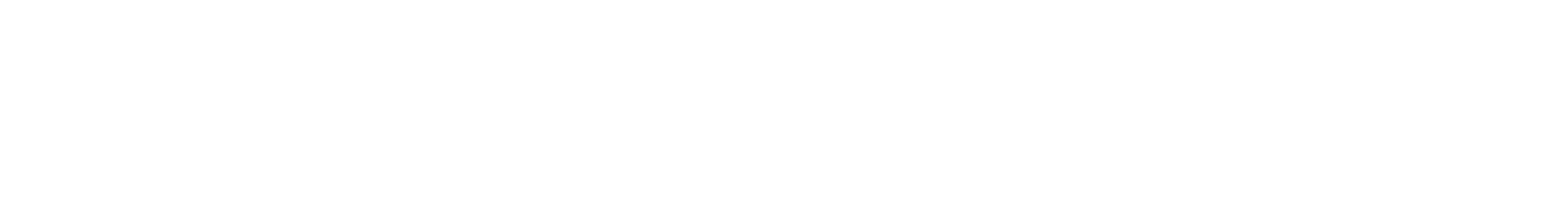 NeuroVIZR logo