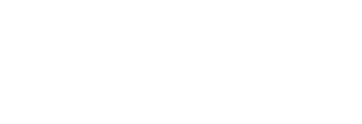 KLIM light logo