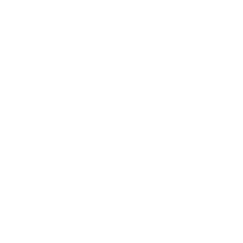 The Perfect Hoop Logo