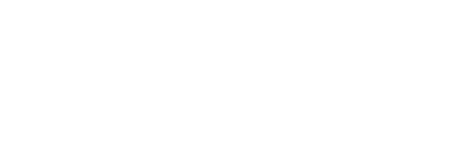 Syntech Home light logo