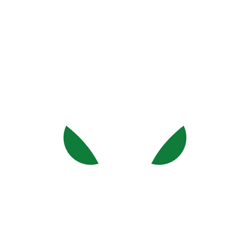 Usnighthawk logo
