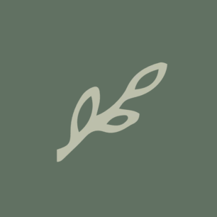 Biankina Barcelona Logo