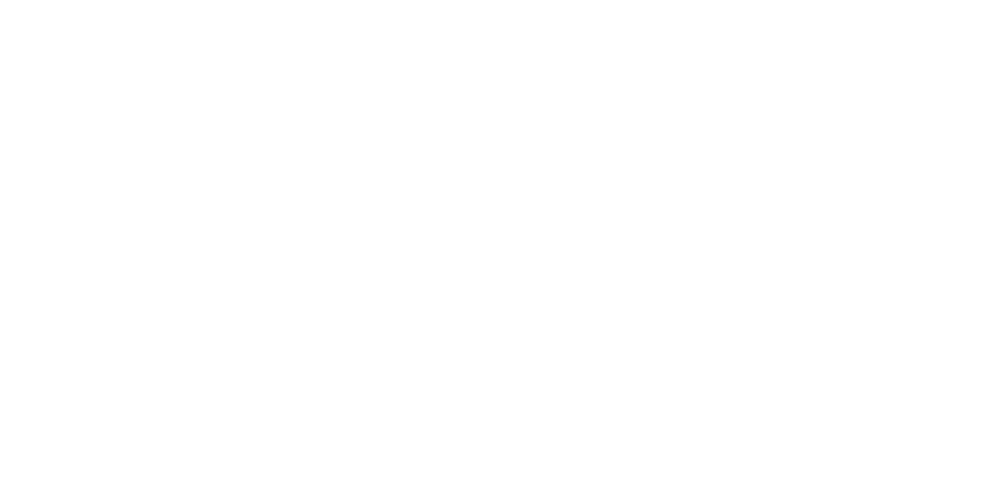 Shopinverse logo