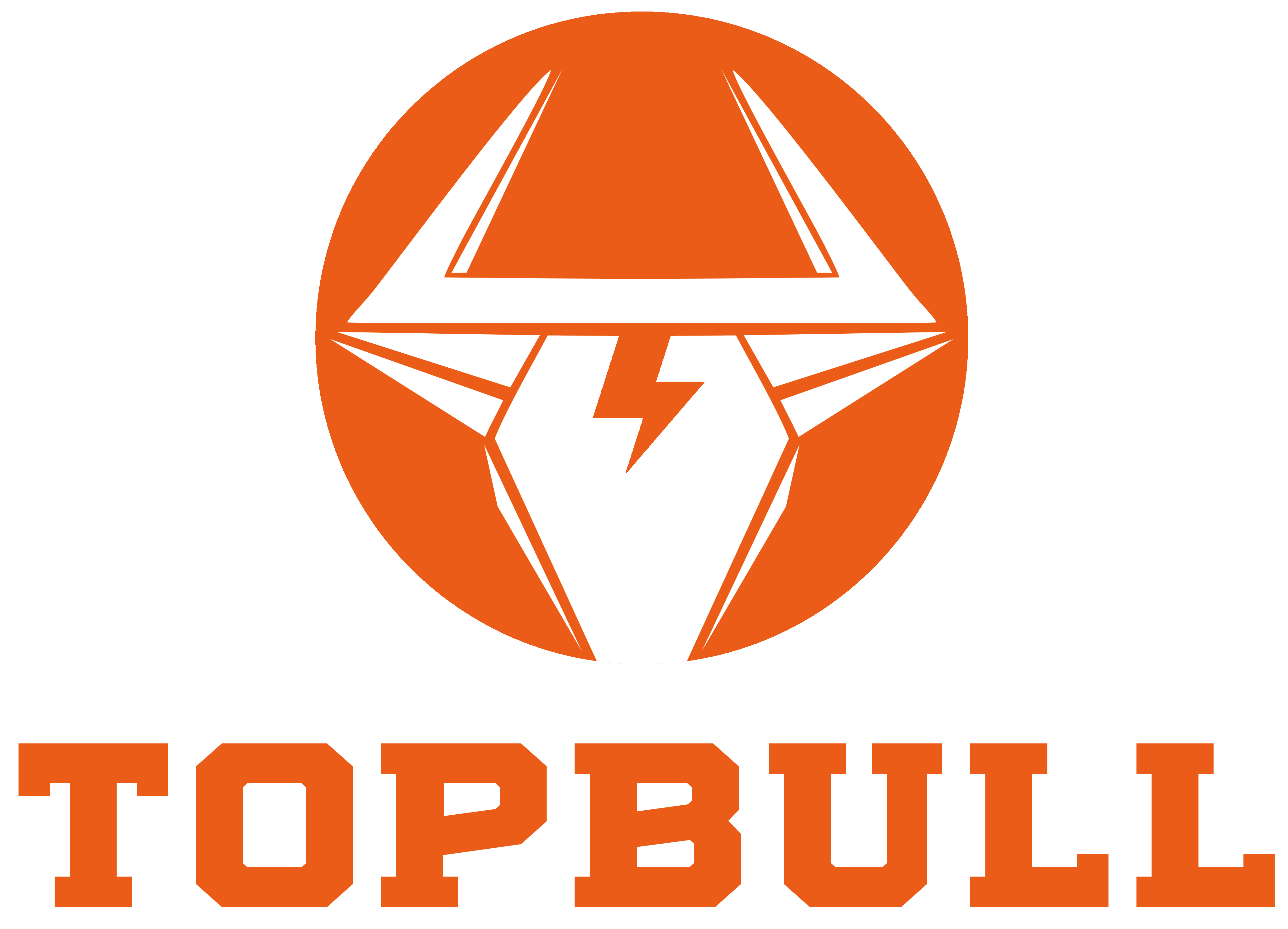 Topbull logo